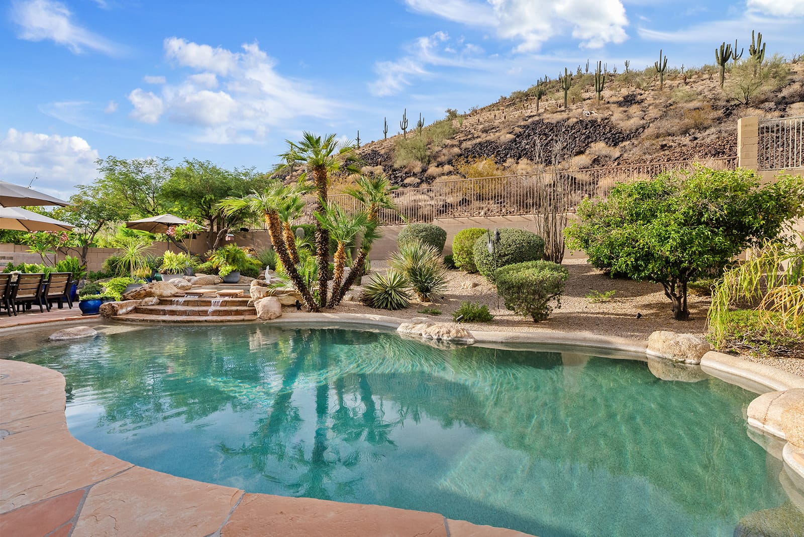 A beautiful backyard swimming pool with a rock waterfall, surrounded by desert landscaping including palm trees, and a rocky hill covered in saguaro cacti under a blue sky.
