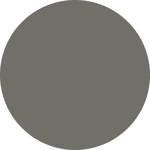 A gray circle with a subtle speckled texture.