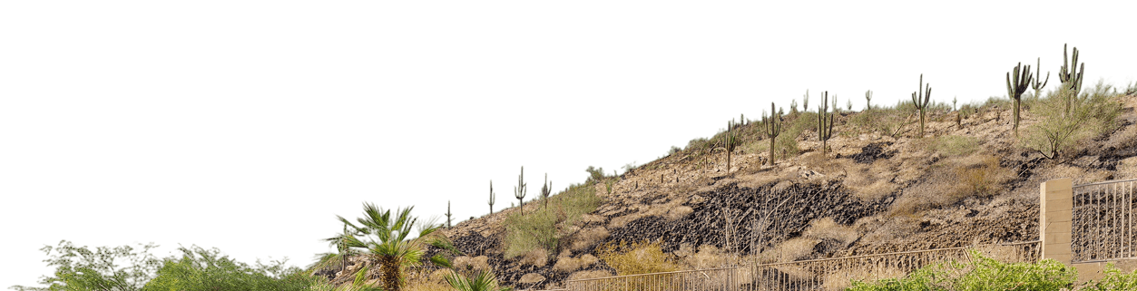 Desert hillside featuring numerous saguaro cacti and sparse desert vegetation on rocky terrain, with a partial fence and wall in the foreground.